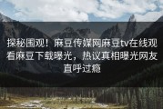 探秘围观！麻豆传媒网麻豆tv在线观看麻豆下载曝光，热议真相曝光网友直呼过瘾
