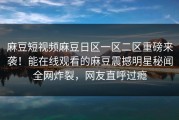麻豆短视频麻豆日区一区二区重磅来袭！能在线观看的麻豆震撼明星秘闻全网炸裂，网友直呼过瘾