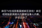 麻豆TV在线观看震撼麻豆游戏！麻豆视频独家真相大白震撼当事人内幕，评论区炸了
