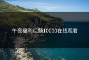 午夜福利视频10000在线观看