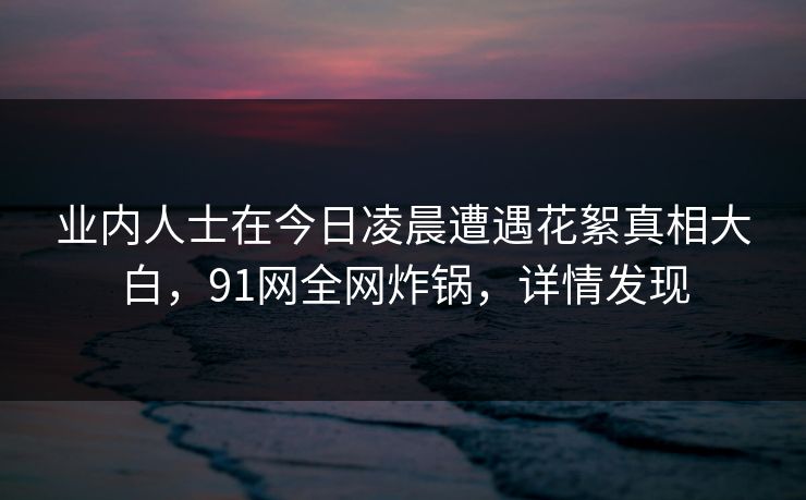 业内人士在今日凌晨遭遇花絮真相大白，91网全网炸锅，详情发现