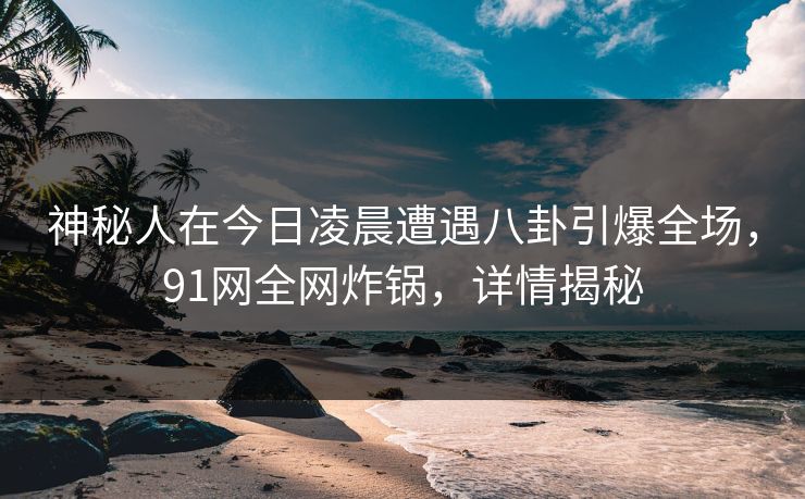 神秘人在今日凌晨遭遇八卦引爆全场，91网全网炸锅，详情揭秘
