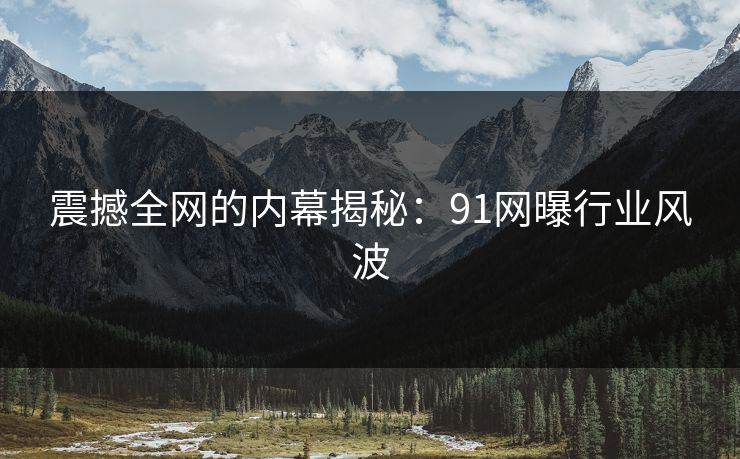 震撼全网的内幕揭秘：91网曝行业风波