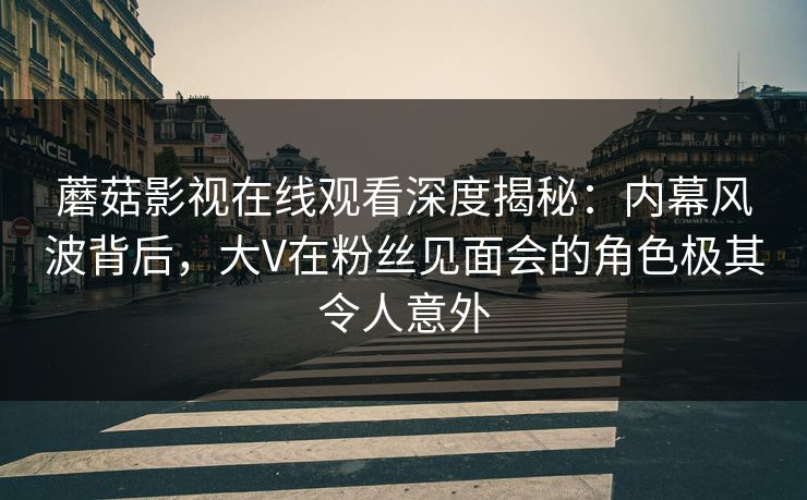 蘑菇影视在线观看深度揭秘：内幕风波背后，大V在粉丝见面会的角色极其令人意外