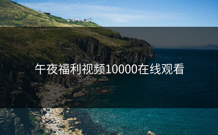 午夜福利视频10000在线观看
