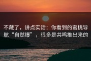 不藏了，讲点实话：你看到的蜜桃导航“自然爆”，很多是共鸣推出来的