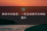黑夜中的秘密：一则丑闻揭开的神秘面纱