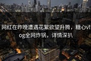 网红在昨晚遭遇花絮欲望升腾，糖心vlog全网炸锅，详情深扒