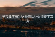 半夜睡不着？这些网站让你彻夜不寂寞