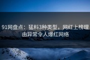 91网盘点：猛料3种类型，网红上榜理由异常令人爆红网络
