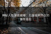 神秘人在深夜被曝：引发全网热议的事件背后