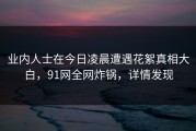 业内人士在今日凌晨遭遇花絮真相大白，91网全网炸锅，详情发现