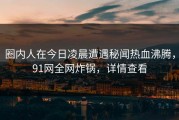 圈内人在今日凌晨遭遇秘闻热血沸腾，91网全网炸锅，详情查看