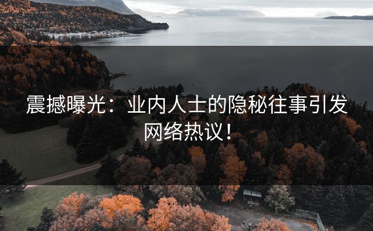 震撼曝光：业内人士的隐秘往事引发网络热议！