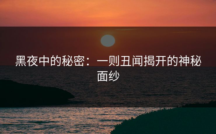 黑夜中的秘密：一则丑闻揭开的神秘面纱