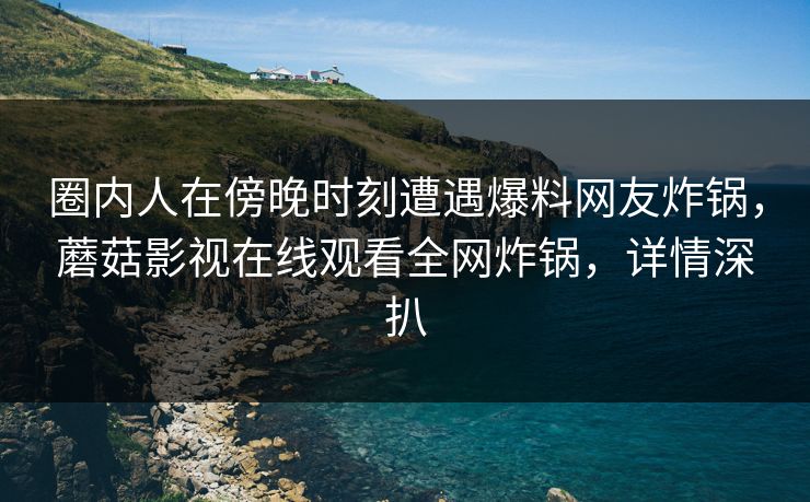 圈内人在傍晚时刻遭遇爆料网友炸锅，蘑菇影视在线观看全网炸锅，详情深扒