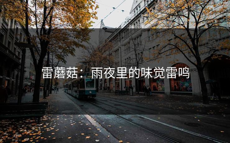 雷蘑菇：雨夜里的味觉雷鸣