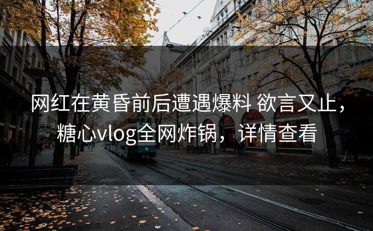 网红在黄昏前后遭遇爆料 欲言又止，糖心vlog全网炸锅，详情查看